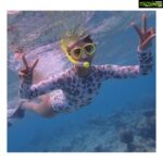 Pooja Hegde Instagram - Found Nemo! He and his friend were cuties ☺️☺️ #snorkeltales