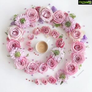 Pooja Umashankar Instagram - 