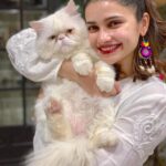 Prachi Deasi Instagram – #Family #portrait of my first born and I ❣️ #photo credit ~ mommy 
#CatLover #catobsessed #catsofinstagram #catstagram #cat #cats #catoftheday