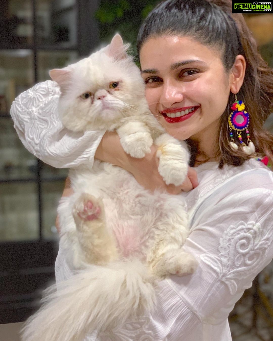 Prachi Deasi Instagram - #Family #portrait of my first born and I ❣️ #photo credit ~ mommy #CatLover #catobsessed #catsofinstagram #catstagram #cat #cats #catoftheday