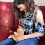 Prachi Deasi Instagram – A Cat is a Cat’s best friend ❣️ =  I am a #CAT  #HenceProven 🐈😻