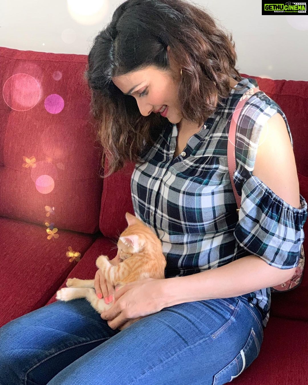 Prachi Deasi Instagram - A Cat is a Cat’s best friend ❣️ = I am a #CAT #HenceProven 🐈😻