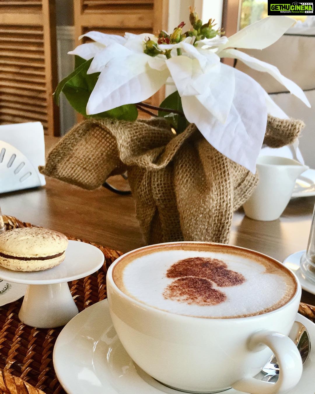 Prachi Deasi Instagram - Favourite meal of the day ! ☕️ #coffee #evening #coffeelover #favourite #eveningcuppa #macarons