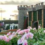 Prachi Deasi Instagram - #latergram #latepost #ThroughMyLens #onewithnature #dubai Dubai Miracle Garden