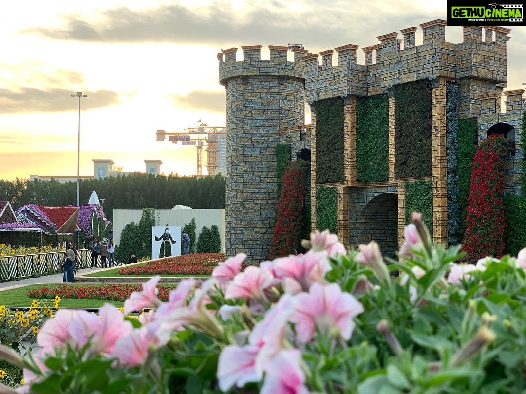 Prachi Deasi Instagram - #latergram #latepost #ThroughMyLens #onewithnature #dubai Dubai Miracle Garden