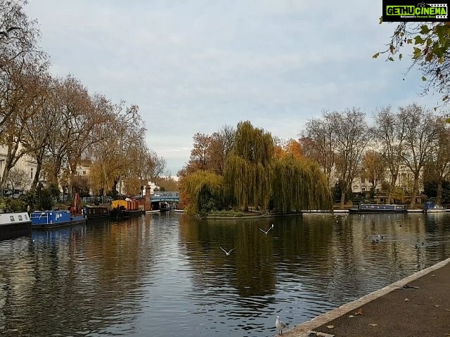 Prachi Deasi Instagram - ‘When the Sun of compassion arises , darkness evaporates and the singing birds come from nowhere’ . . . #latergram Little Venice, London