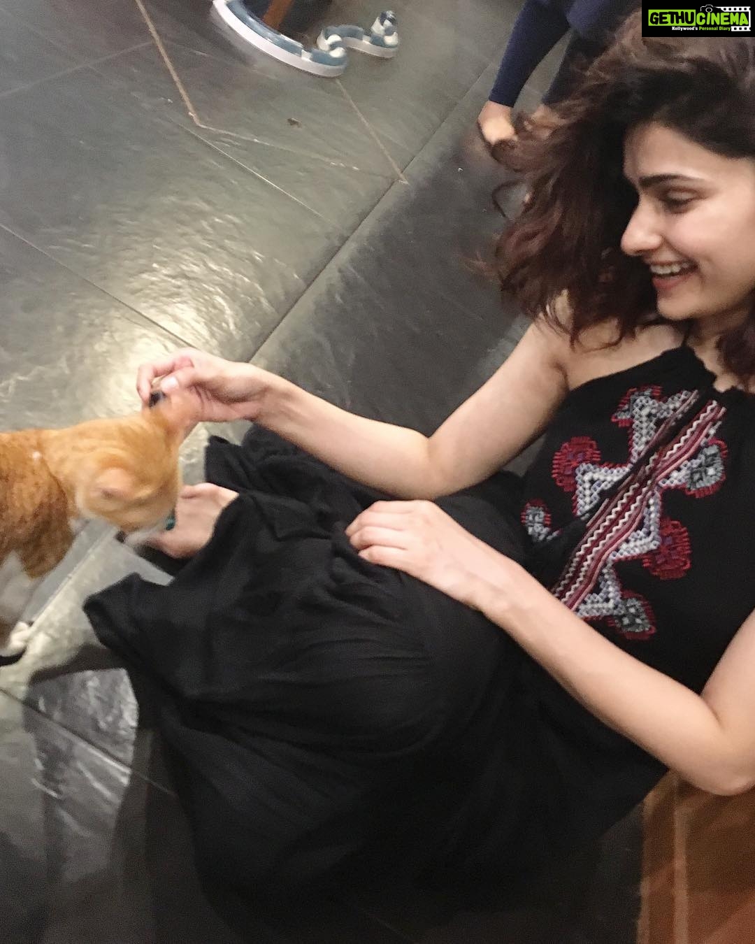 Prachi Deasi Instagram - And this is how I spent #Diwali 🌟 yesterday at the amazing @catcafestudio 😻 in #CatCompany with some great #coffee pretty much my kinda #paradise ❣️ #unconditionallove #catlover #cat #catcafe #pet #poochoverpataka #anyday