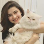 Prachi Deasi Instagram - I wish someone looked at me the way I look at my cat 😻 #happy #InternationalCatDay ❣️