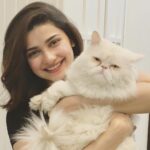 Prachi Deasi Instagram – I wish someone looked at me the way I look at my cat 😻 #happy #InternationalCatDay ❣️