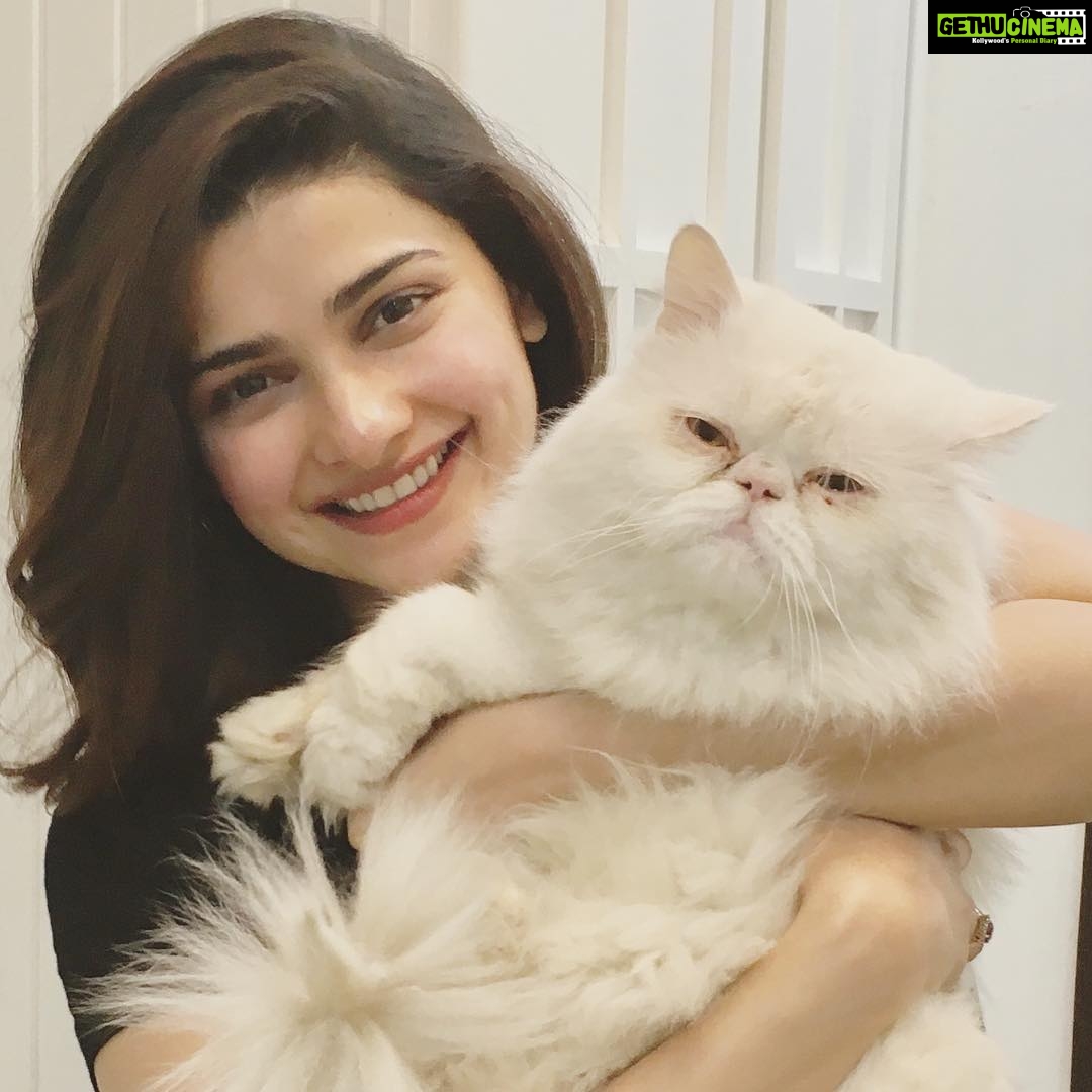 Prachi Deasi Instagram - I wish someone looked at me the way I look at my cat 😻 #happy #InternationalCatDay ❣️