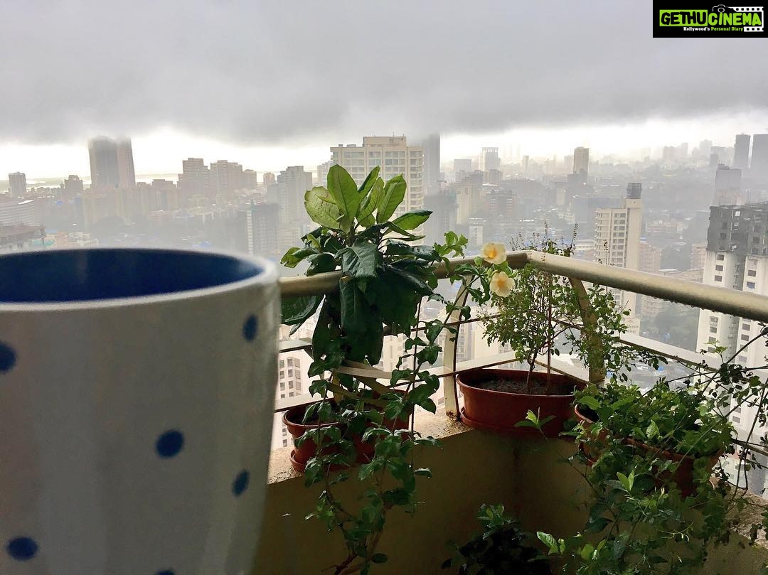 Prachi Deasi Instagram - Enjoying the view and my Sunday cuppa whilst reading 📖 'The Bidder' by @EshaDesai eshadesai1.wordpress.com Link in bio 📚 You don't wanna miss this one 😉