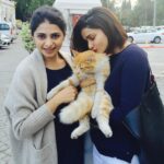 Prachi Deasi Instagram - #ThrowBack to when we found this lil guy on the streets of #Antalya 😻 @eshadesai #WeFindCatsEverywhere #kittylove #catlover #cats #catsofinstagram #catsgram #love #sis #sisters #sisterlove