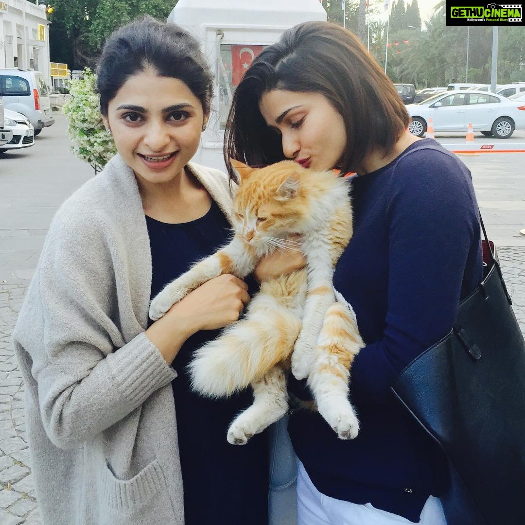 Prachi Deasi Instagram - #ThrowBack to when we found this lil guy on the streets of #Antalya 😻 @eshadesai #WeFindCatsEverywhere #kittylove #catlover #cats #catsofinstagram #catsgram #love #sis #sisters #sisterlove