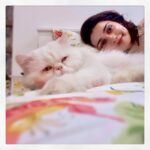 Prachi Deasi Instagram - Home is where.. errrr . . #Cat is where the heart is ❣️