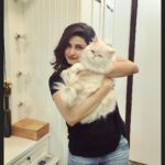 Prachi Deasi Instagram – #furball 😻