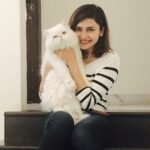 Prachi Deasi Instagram - Met this guy after days!!! Mr.(snooty little) Zorro 😜😻🐈 Its #caturday #cat #love