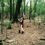 Prachi Deasi Instagram – #somewhere #faraway #inthewoods #enticing #SacredGroves #beautiful #shillong #RockOn2 Mawphlang Sacred Grove