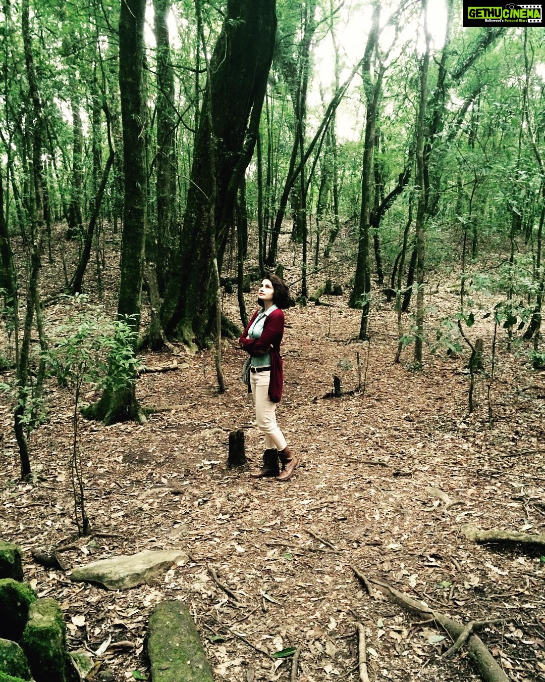 Prachi Deasi Instagram - #somewhere #faraway #inthewoods #enticing #SacredGroves #beautiful #shillong #RockOn2 Mawphlang Sacred Grove