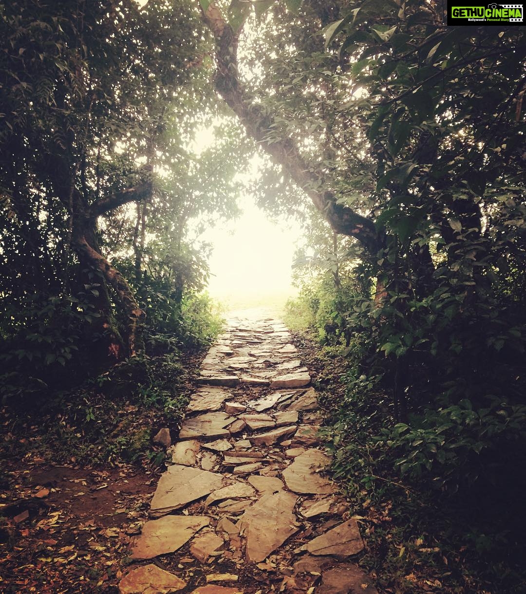 Prachi Deasi Instagram - #somewhere #faraway #inthewoods #enticing #SacredGroves #beautiful #shillong #RockOn2 Mawphlang Sacred Grove