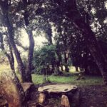 Prachi Deasi Instagram - #somewhere #faraway #SacredGroves #shillong #RockOn2 Mawphlang Sacred Grove