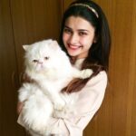 Prachi Deasi Instagram – With handsome little Zorro 😻 Wish you a happy cat day!!
#InternationalCatDay #myworld #myfavorite #favorite #cat #catsofinstagram #catlover