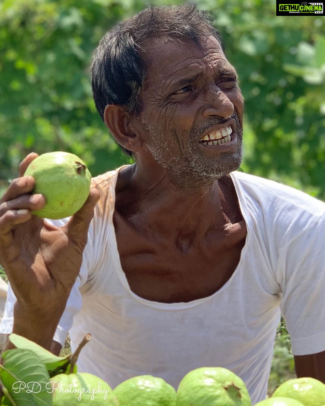 Prachi Deasi Instagram - Dear all, I am sharing with you a series of pictures I took on my phone on the way to Ranthambore from Jaipur. What caught my eye were vendors selling guavas a plenty in parts of the journey alongside & on the outskirts of villages.. I stopped on the side of the road a couple of times in a bid to help them through my purchases (as I do during all my road trips in any part of India). I saw fruit sellers of various ages, some very old, some young and some with their children braving the heat not to mention as you may already know of the Rajasthan weather. Of course I asked for their permission before clicking pictures. While some were adorably shy, some turned out to be absolutely charming posers. I am sharing these with you in the hope that the next time you see vendors wherever they may be please spare a moment and empower them through purchases big or small because else all our 'Happy Independence day' posts will go in vain if we fail to support these people who work tirelessly in the toughest of situations to lead an independent life. Let us always respect them and their efforts ♥️ If we can walk into malls and stores to buy what we like without flinching at price tags, if we can leave huge tips at restaurants post hearty meals, then we surely can extend our support towards the betterment of people who may or may not appear in our daily scheme of things. Please STOP bargaining with your vegetable vendors & all other goods sellers who are not in a position to counter you. #SupportSmallBusiness #ShopLocal And Happy Ganesh Chaturthi 🐘🌸🧁🌈🌟 Ganesha ~ God of prosperity and wisdom. सुखकर्ता दुखहर्ता वार्ता विघ्नाची। नुरवी पुरवी प्रेम कृपा जयाची। सर्वांगी सुंदर उटी शेंदुराची। कंठी झळके माळ मुक्ताफळांची॥ Salutations to the Lord who is the giver of joy, the remover of sorrow and the one who eliminates hurdles. Hope you are all celebrating with #EcoFriendly Ganesha. Lots of love to you all 🌼💕🍎🍐🍊🍉🍓🥦🍅🥒🥕🥑🍍🌽 #supportsmallbusiness #supportlocal #shoplocal #kindness #support #kindnessmatters #love #equality #worldphotography #ranthambore #jaipur #india #fruit #photography #portraitphotography #portraits #incredibleindia #PDphotography #ThroughMyLens Ranthambore Rajasthan