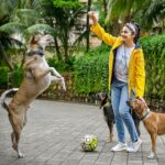 Prachi Deasi Instagram - The one motivation I have for my evening walks is the time I get to play with them. Meet JJ, Bolt, Murphy, Emma, Bella 🐶❣️ the loveable strays in my building. Looked after, vaccinated, neutered and cared for by a bunch of fellow residents here. Sometimes all you need is love. Thank you for capturing these @nikleshmalkani 🐶📸 #dogsofInstagram #savethestrays #adoptdontshop #standforstrays #bekind #animallivesmatter #animalrights #worldforall #straysofinstagram #instagood #instadaily #standforstrays #streetdogsofindia #straysofindia #fortheloveofdogs #dogblessyou #doglover #love #compassion #compassionforall @petaindia @worldforallanimaladoptions @amtmindia @streetdogsofbombay @aac_india