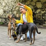 Prachi Deasi Instagram – The one motivation I have for my evening walks is the time I get to play with them. Meet  JJ, Bolt, Murphy, Emma, Bella 🐶❣️ the loveable strays in my building.
Looked after and cared for by a bunch of fellow residents here. Melts my heart every time I see them. Sometimes all you need is love. 

#dogsofInstagram #savethestrays #adoptdontshop #standforstrays #bekind #animallivesmatter #animalrights #worldforall #straysofinstagram #instagood #instadaily #standforstrays #streetdogsofindia #straysofindia #fortheloveofdogs #dogblessyou #doglover #love #compassion #compassionforall 
@petaindia @worldforallanimaladoptions @amtmindia @streetdogsofbombay 
@aac_india