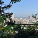 Prachi Deasi Instagram - Captured the sight of this bird in flight on my phone camera while appreciating mommy’s created little heaven amidst our concrete jungle on Earth Day 🌍🌿🌼💙 and so does little Ms.Pigeon 🐦 #EarthDay #PollutionFree #Gratitude #ForeverGrateful #heavenonearth #Balcony #garden #photography #phonephotography #Earth #love #BalconyGarden #Birds #pigeon #picoftheday #quarantine #day #india #mumbai #nature #naturephotography #nofilter #beautiful #birdsofinstagram #birdphotography #birdinflight Home