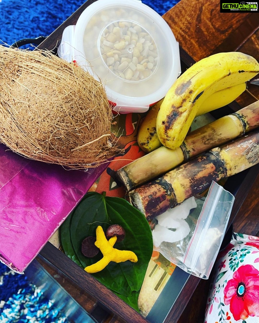 Pranitha Subhash Instagram - Sending ellu bella via delivery apps .. how’re you guys celebrating today .. happy Sankranthi