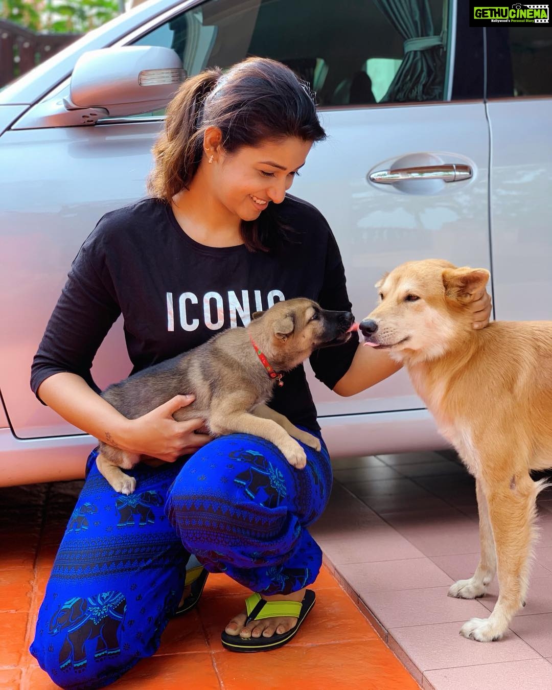 Priya Bhavani Shankar Instagram - Meet our little Genie and our Amy 😊 🐶 three early morning faces 🙃