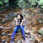 Priya Bhavani Shankar Instagram - the beauty and serene of this place. Sunlight through the woods and the glare over water😊#nemophilist #walkdowntheforest