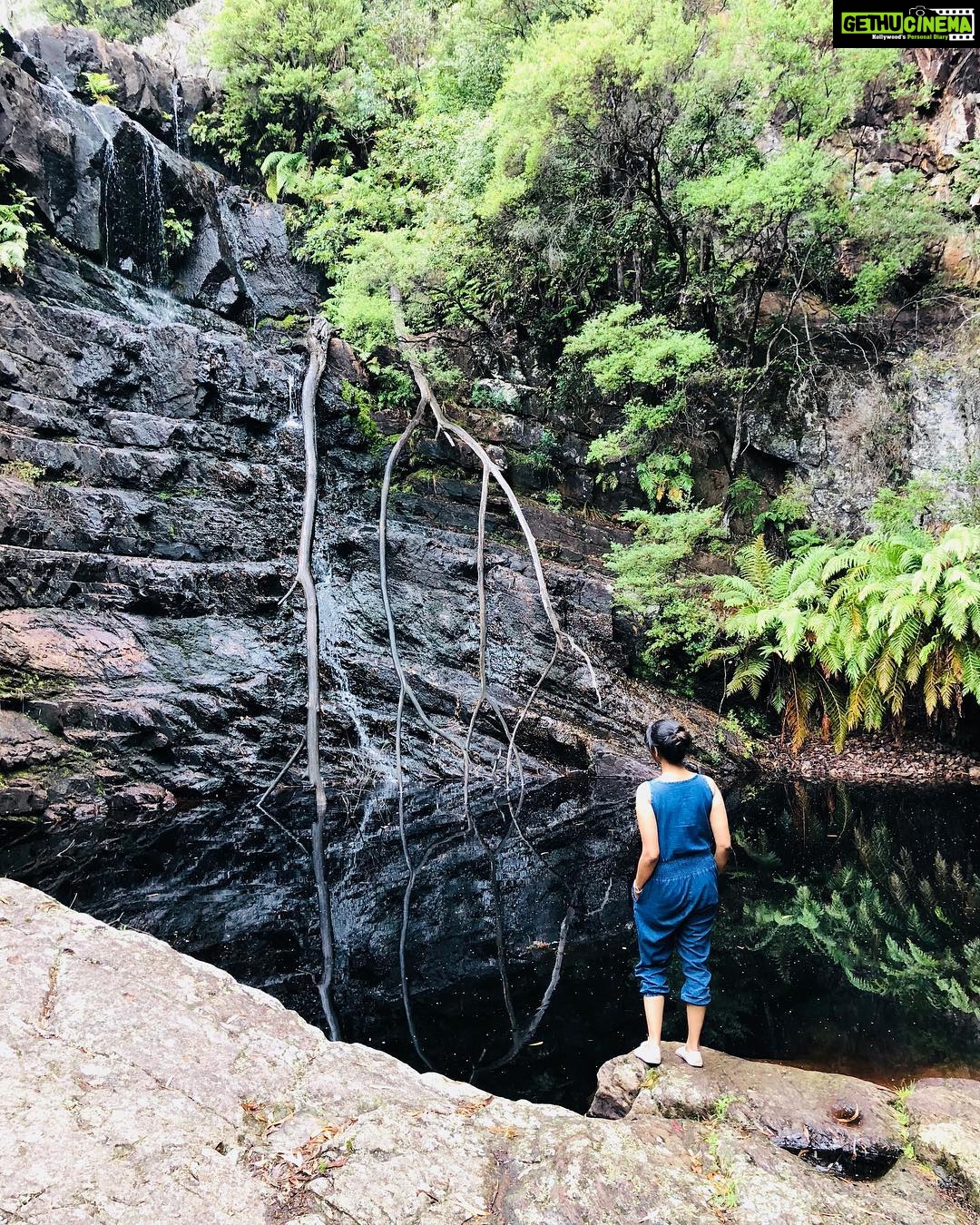 Priya Bhavani Shankar Instagram - Life begins when road ends #forest&me #rawnature #purebliss #losttheroute 😊