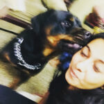 Priya Bhavani Shankar Instagram -
