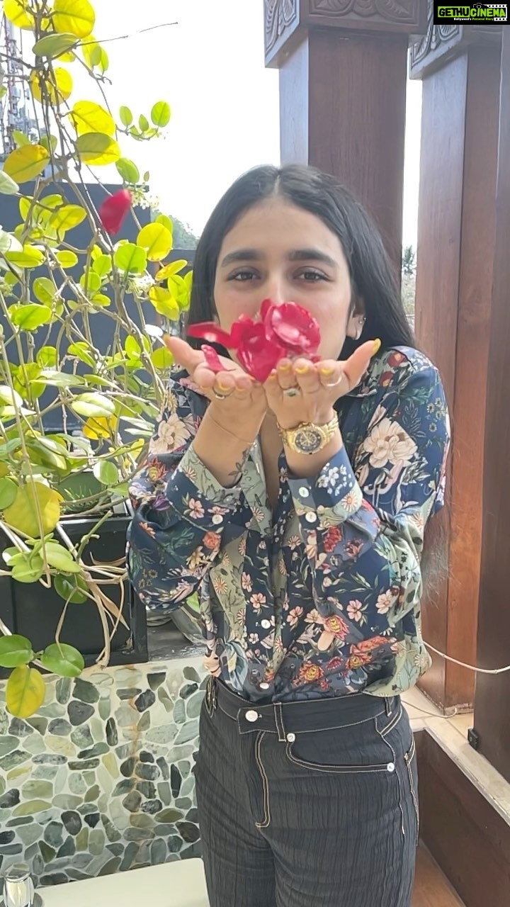 Priya Varrier Instagram - I skipped to the good part!🇱🇰 @tentgraam @tentgramtrips #reels #reelsinstagram #explorepage #explorepage #trending #reelitfeelit #reelkarofeelkaro #srilanka