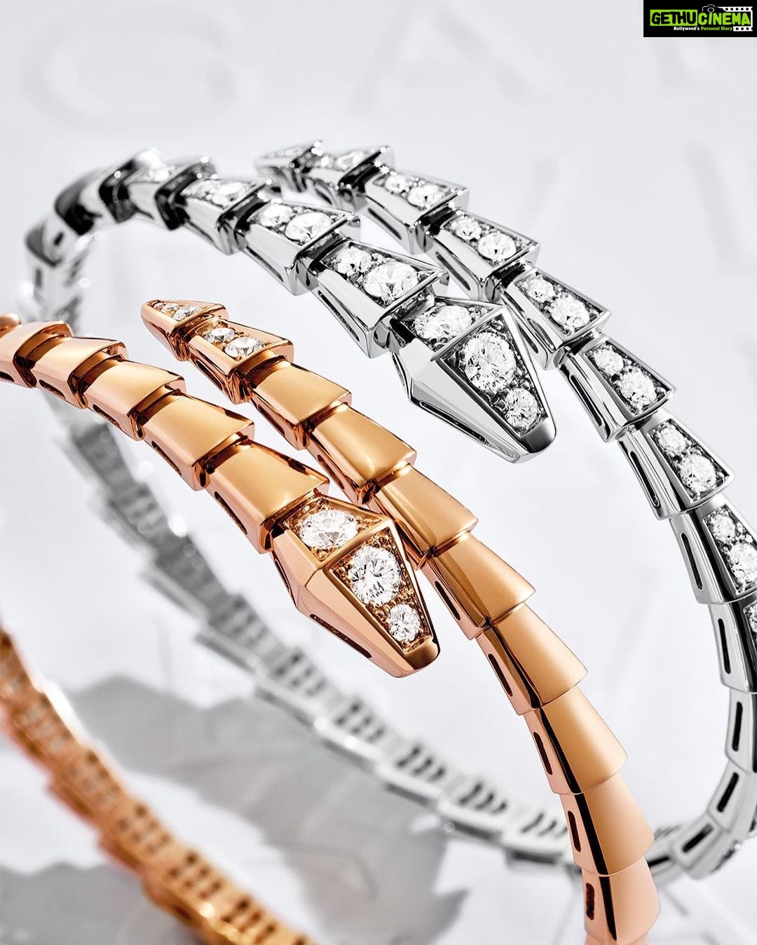 Priyanka Chopra Instagram - Priyanka's wish list. To celebrate the festive season, @bulgari and Bulgari Global Ambassador @priyankachopra collaborate to create Priyanka's wish list. Filled with iconic creations from the Maison, find unique gifts for the people you love amongst her Bulgari picks. @priyankachopra's holiday season wish list features Serpenti Viper necklace, Serpenti Viper bracelets, Serpenti Viper rings, Serpenti Seduttori watch, and Serpenti Forever Crossbody bag. #Bulgari #BulgariJewelry #BulgariWatches #BulgariAccessories #Serpenti #SerpentiViper #HolidaySeason #MoreThanAWish