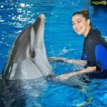 Raai Laxmi Instagram - This is so much fun 🐬#SwimWithTheDolphins🐬 thank u for hosting me with this amazing memorable experience with these cuties 🐬 @dolphinariumdubai ❤️🐬😍