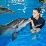 Raai Laxmi Instagram - This is so much fun 🐬#SwimWithTheDolphins🐬 thank u for hosting me with this amazing memorable experience with these cuties 🐬 @dolphinariumdubai ❤️🐬😍