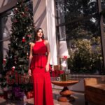 Raiza Wilson Instagram - Merry Christmas 🎄 Photography : @johan_sathyadas Gown : @sidneysladen Crowne Plaza Chennai Adyar Park