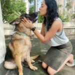 Ramya Subramanian Instagram – Been a while since I showed you all my cutie 🥰♥️😘.

#HeroLove #TrueLove #MyInseperable #BAE 
#gsd #germanshepherd #gsdofinstagram #gsdlove #gsdlife #dogstagram #gsdstagram #dogoftheday #doglover