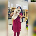 Ramya Subramanian Instagram – Leave me with a puppy and this is what I ll do… even if that’s inside a super market 😬🤪😎😛😍🥰

#PuppyLove #HowCuteIsHe #Pupstagrams #PupperLove