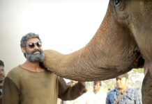 Rana Daggubati Instagram - 🐘🎥 @erosnow #Aranya #HaathiMereSaathi #Kaadan #26thMarch