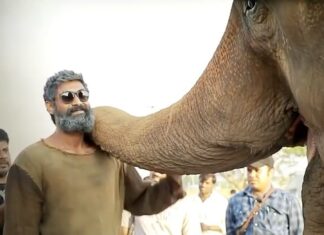 Rana Daggubati Instagram - 🐘🎥 @erosnow #Aranya #HaathiMereSaathi #Kaadan #26thMarch