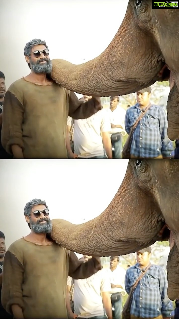 Rana Daggubati Instagram - 🐘🎥 @erosnow #Aranya #HaathiMereSaathi #Kaadan #26thMarch