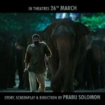 Rana Daggubati Instagram - Aranya will not stop at anything till he saves the last elephant of the jungle! Are you with him? Come back to the theatres and watch 2021's first trilingual film! Watch the trailer of Aranya today! #SaveTheElephants #Aranya #InTheatresOn26thMarch @thevishnuvishal @prabusolomonofficial @zyhssn @shriya.pilgaonkar @erosstx @erosmotionpics @erosnow