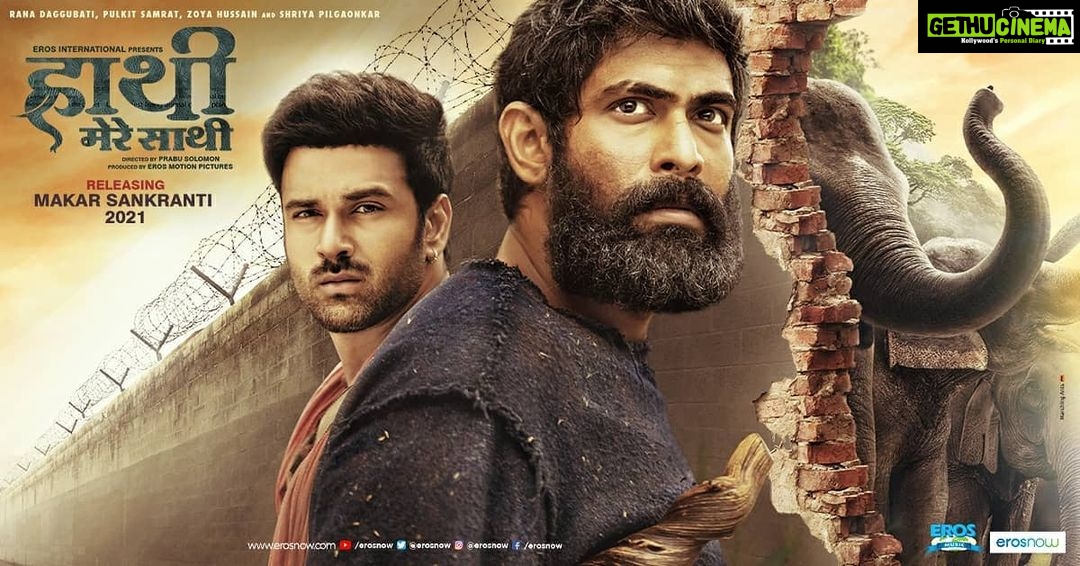 Rana Daggubati Instagram - *A big announcement! *- Today, even as we deal with a deadly pandemic, the one faced by our forests, that of human encroachment and deforestation continues to loom over us. Be a part of this thrilling battle with #HaathiMereSaathi, releasing in theatres on Makar Sankranti 2021! *. *. *. *. *@pulkitsamrat @prabusolomonofficial @zyhssn @shriya.pilgaonkar @erosstx @erosmotionpics @erosnow