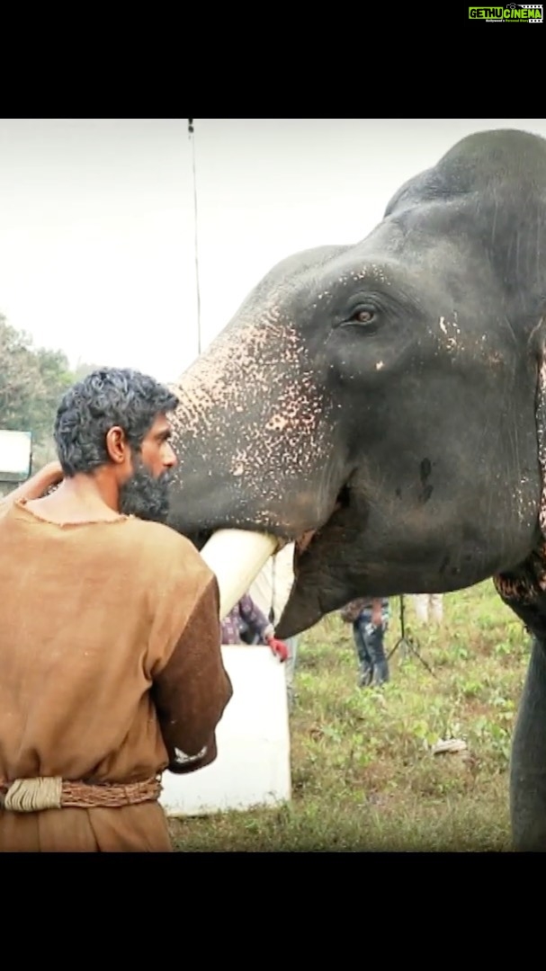 Rana Daggubati Instagram - Who was the most loved cast member on the sets of #HaathiMereSaathi? Hint: He's indeed a BIG star! Here's a sneak peek for you to find out! . . Watch Haathi Mere Saathi, in theatres on April 02. . . @erosnow @prabusolomonofficial @pulkitsamrat @shriya.pilgaonkar @zyhssn #erosinternational #savetheforest🐘 #haathi #hmsbts