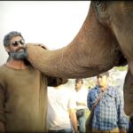 Rana Daggubati Instagram - Apart from being lovable mammals, elephants have unique importance to our ecosystem and it will be a great disadvantage to us if they are driven into extinction. #SaveTheElephants