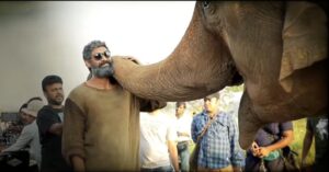 Rana Daggubati Instagram - Apart from being lovable mammals, elephants have unique importance to our ecosystem and it will be a great disadvantage to us if they are driven into extinction. #SaveTheElephants