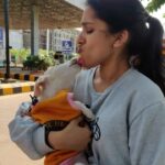 Rashmi Gautam Instagram – Pets don’t spread #COVID19 
Dont abandone your pets 
They will love u 💓 no matter what 
#adoptdontshop🐾 #purelove❤️ dont miss it